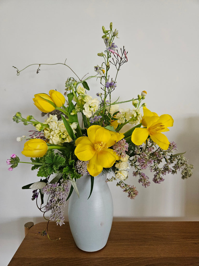 Brighten Winter with Fragrant Jasmine, Sunny Yellow Tulips and Earlicheer.