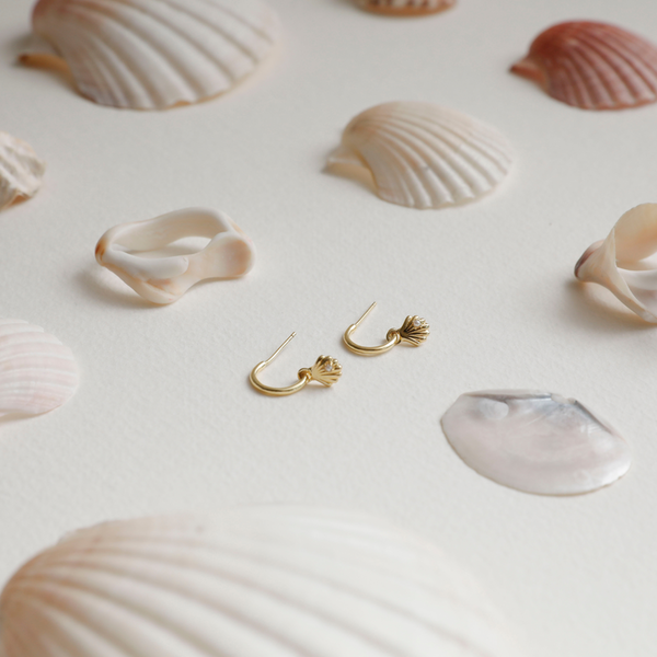 She Shell Hoop Studs - Sophie Store