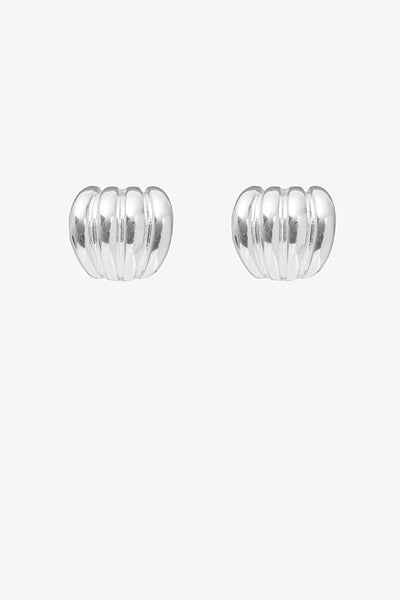 Pair of silver earrings on a white background
