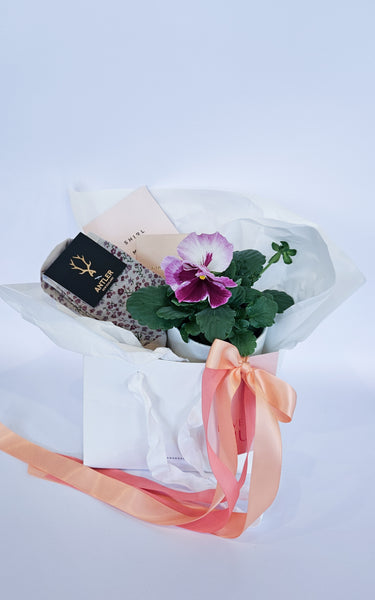 Mother's Day Gift Box - Pretty Pansy