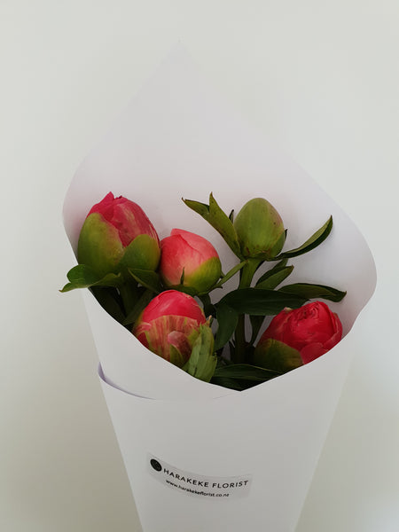 Peony Roses